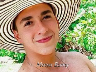 Mateo_Bunny