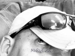 MrBigVoice