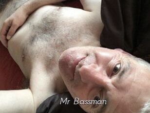 Mr_Bassman