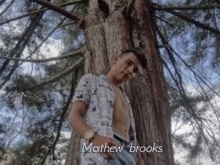 Mathew_brooks