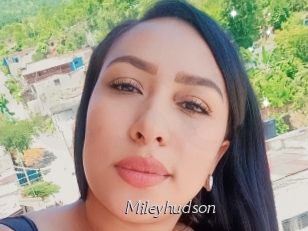Mileyhudson