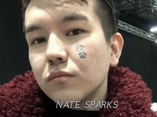 NATE_SPARKS