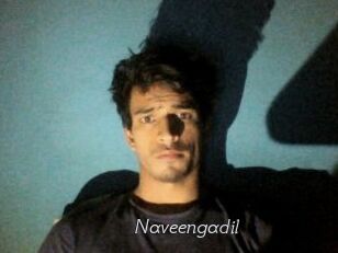 Naveengadil