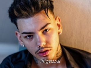 Nigelsoul