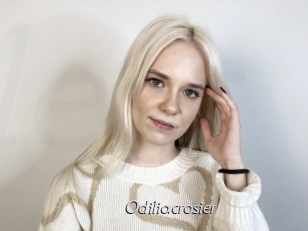Odiliacrosier