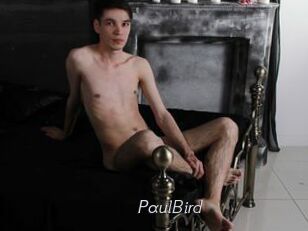 PaulBird