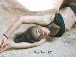 PlayfulPrey