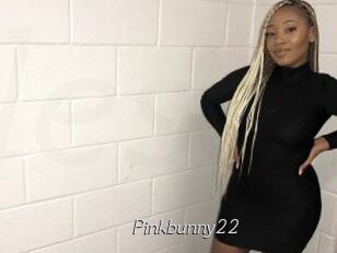 Pinkbunny22