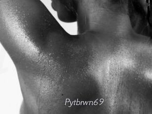 Pytbrwn69