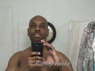Rodney_Rabbit