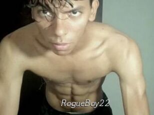 RogueBoy22