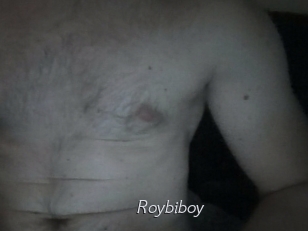 Roybiboy