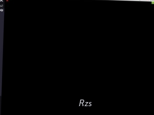 Rzs