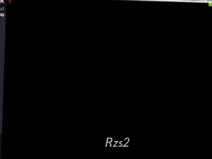 Rzs2