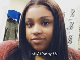 SEABunny19