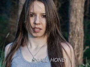 SMALL_HONEY