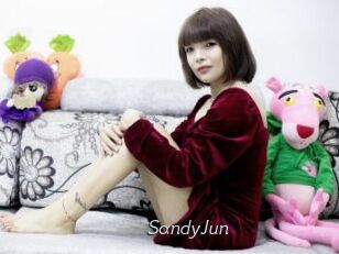 SandyJun