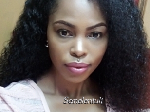 Sanelentuli
