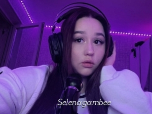 Selenagambee