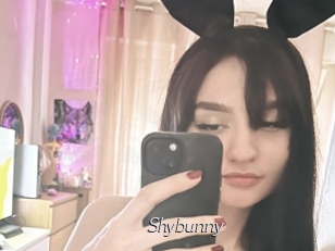 Shybunny