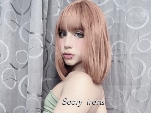 Soary_trans