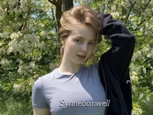 Synnebanwell