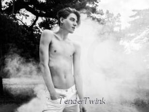 TenderTwink