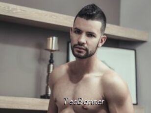 TeoBanner