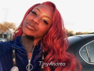 TinyAndrea