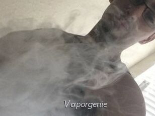 Vapor_genie