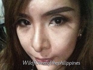 Wildflowerofthephilippines