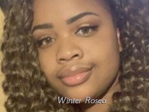Winter_Rosea