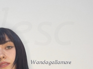 Wandagallamore