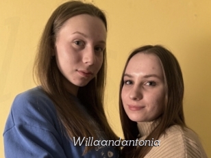 Willaandantonia