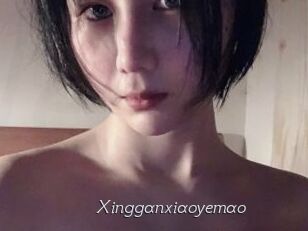 Xingganxiaoyemao