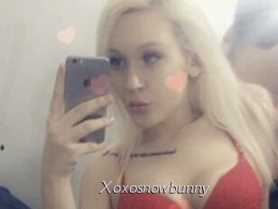 Xoxosnowbunny