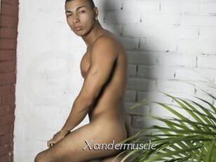 Xandermuscle