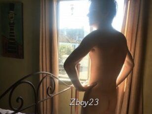 Zboy23